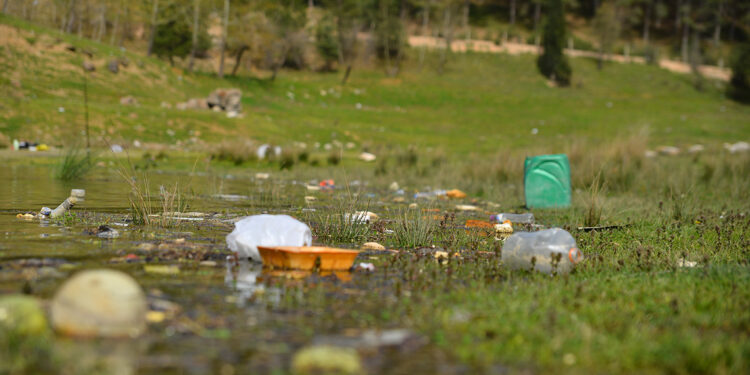 Demirtaş Barajı, piknikçilerin atıklarıyla çöplüğe döndü