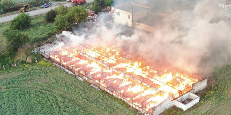 Depoda çıkan yangında 160 ton kozalak küle döndü