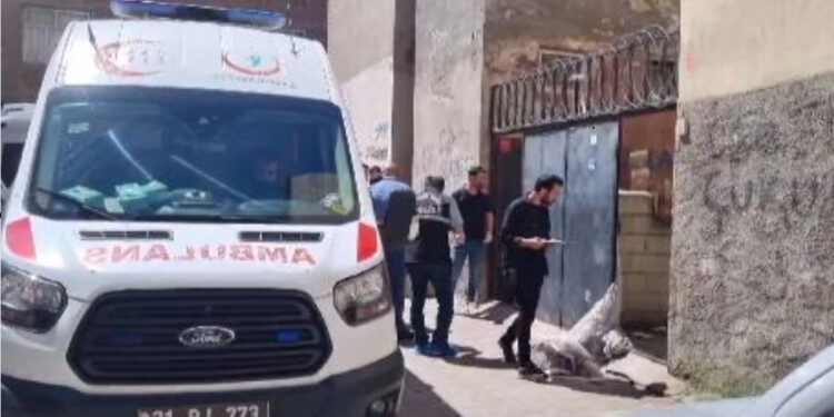 Diyarbakır'da 1 kadın ve 1 erkek öldürüldü