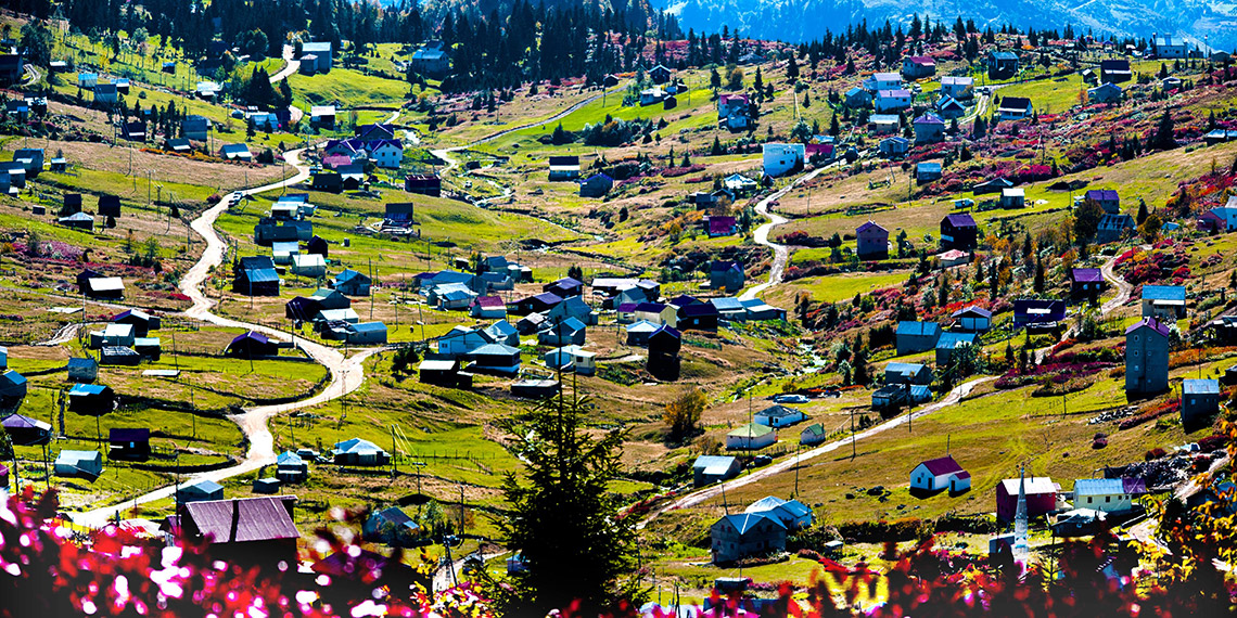 5 yaş üstü 438 bin 827 bin nüfusa sahip Doğu Karadeniz'de göç olgusuna yönelik çalışmalara yapan Karadeniz Teknik Üniversitesi'nden (KTÜ) Prof. Dr. Mine Gözübüyük Tamer, "Bu göçler kültür aktarımında bir boşluk yaratılmasına neden oluyor" dedi.