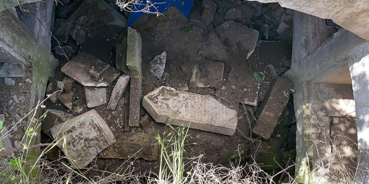 Edirne'deki Katolik Mezarlığı yok olma tehlikesi yaşıyor