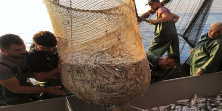 Ege Denizi'nde av yasağı yarın başlıyor