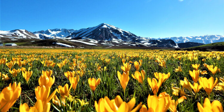 Eğrigöl'de bahar güzelliği