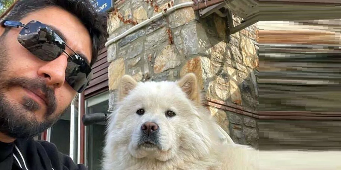 Fethiye'de köpeğiyle doğa yürüyüşüne çıkıp geri dönmedi; cansız bedeni bulundu, köpeğine ise henüz ulaşılamadı.