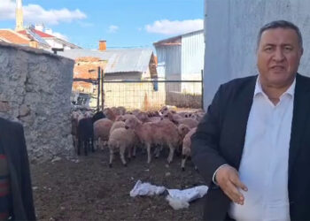 Emekli maaşına kurbanlık koç alınamıyor