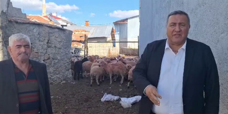 Emekli maaşına kurbanlık koç alınamıyor