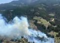 Gediz'de orman yangını; 2 hektar alan kül oldu