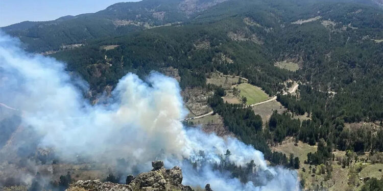 Gediz'de orman yangını; 2 hektar alan kül oldu
