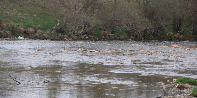 Gerede Çayı'ndaki zehirli kirlilik bitmedi