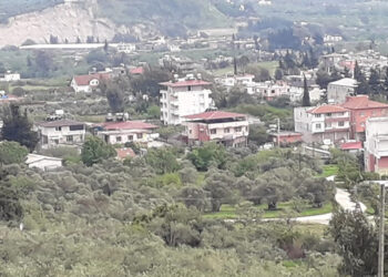 Hatay'da 2 mahalleye kuduz karantinası