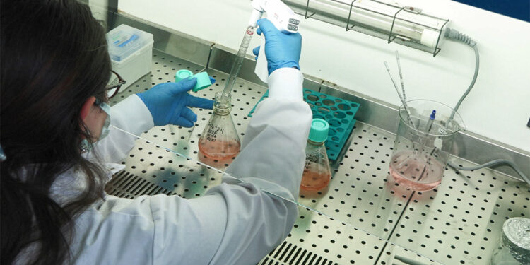 İneklerde kuş gribi virüsü görüldü