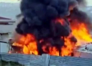 Başakşehir'de i̇stanbul gıda toptancılar çarşısı yakınında yangın