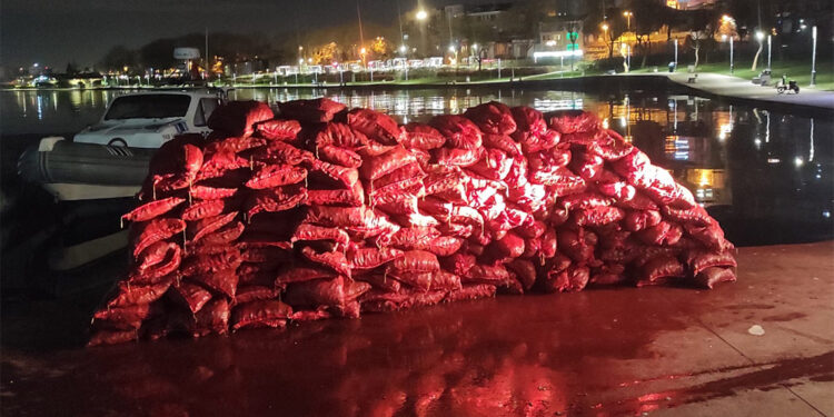 Kaçak yollarla avlanmış midyeler denize bırakıldı