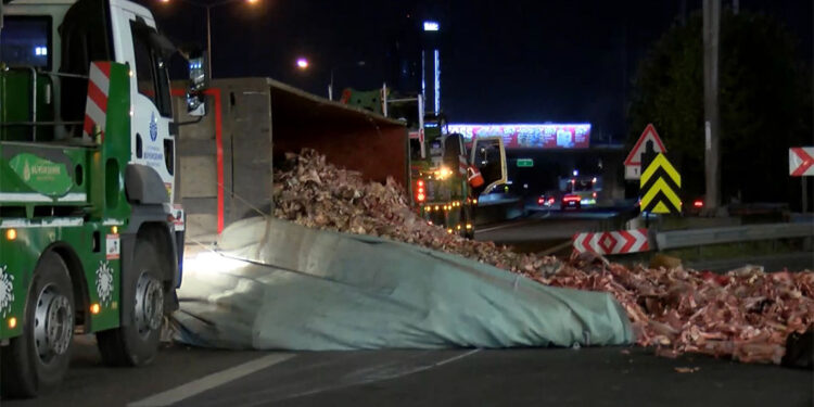 Küçükçekmece'de hayvansal atık taşıyan kamyon devrildi