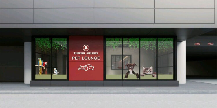 THY, İstanbul Havalimanı'nda Pet Lounge kuracak