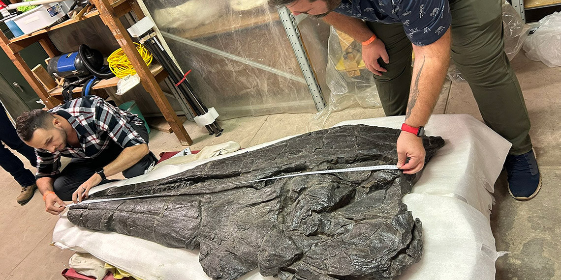 İngiliz kızın bulduğu fosilin, 202 milyon yaşında olduğu açıklandı