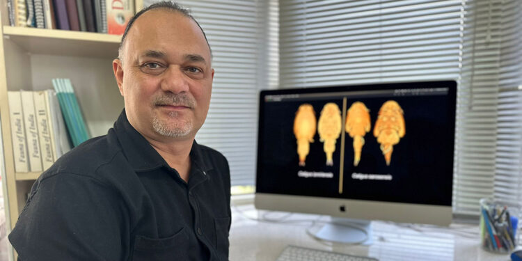 İzmir ve Saros körfezlerinde 2 yeni parazit türü keşfedildi