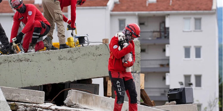 İzmir'de 'Deprem sonrası Hayvan Arama Kurtarma Tatbikatı' 