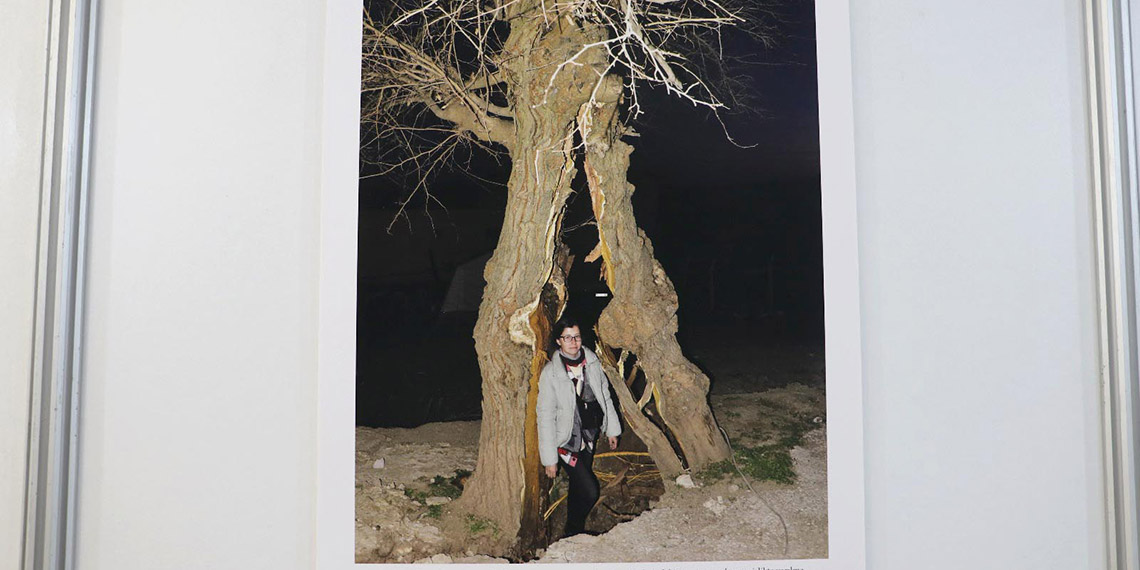 Jeoloji mühendislerinden 'Depremin Jeolojik İzleri' sergisi