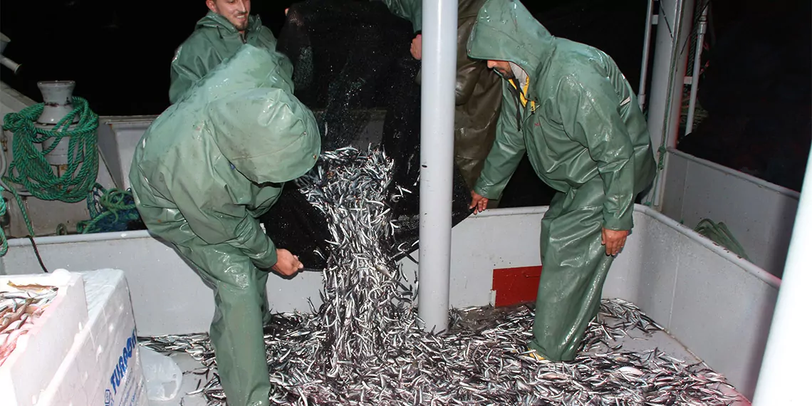 Karadeniz'de sıcak hava, balık boylarını istenilen seviyede olmaması ve hamsinin erken göçü sonrası balıkçılar, erkenden ağlarını toplayıp, tekne bakım ve onarımına başladı.