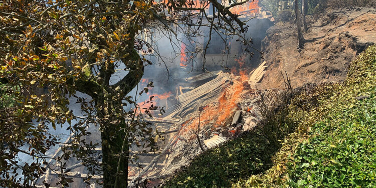 Kuraklık ve anız ateşi orman yangınlarına yol açıyor