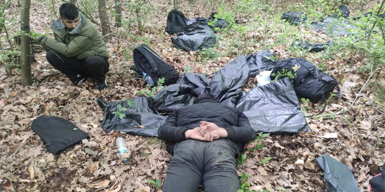 Kargo minibüsü ile göçmen kaçakçılığına suçüstü