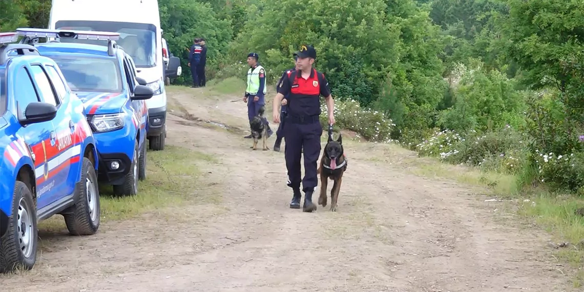 Korhan berzeg'in kafatası ile ayak kemikleri aranıyor; alan taraması 5'inci günde 2 ayrı noktadan başlatıldı, tina' ile birlikte çıktığı yürüyüş yolu da yeniden incelemeye alındı.