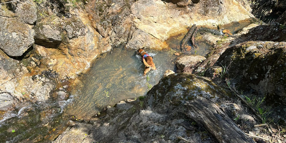 Balıkesir’in Gönen ilçesinde kaybolduktan 312 gün sonra bulunan kemik parçalarının, kızından alınan DNA örneği ile eşleşmesiyle, öldüğü kesinleşen Korhan Berzeg'in kafatasına ait olduğu değerlendirilen parça bulundu.