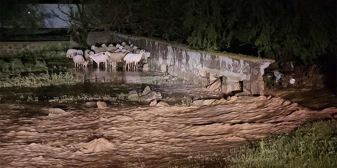 Kulu'da sağanak sele neden oldu; tarım arazileri ve yollar su altında kaldı. Selin meydana geldiği mahalleye belediye, itfaiye ve jandarma ekipleri sevk edildi.