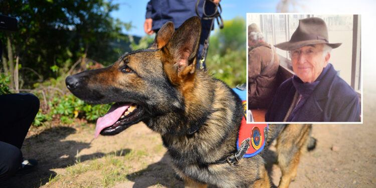 Kadavra köpeği Denek, Korhan Berzeg'in izini sürüyor