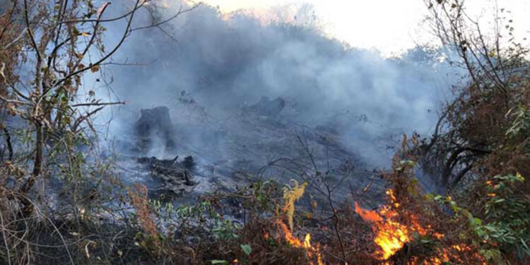 Karadeniz'de orman tahribi heyelanları artırıyor
