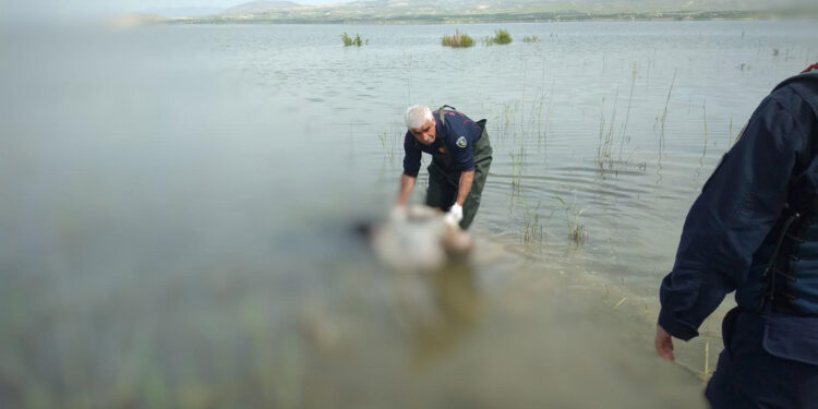 Kayıp olarak aranıyordu, baraj gölünde cesedi bulundu