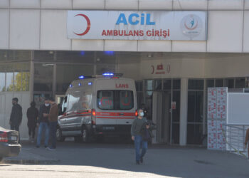 Kene ısırdıktan 1 hafta sonra hayatını kaybetti