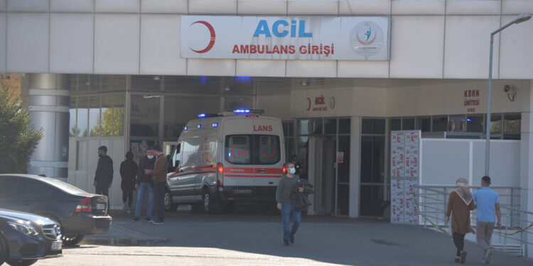 Kene ısırdıktan 1 hafta sonra hayatını kaybetti