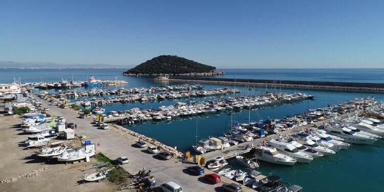 Kooperatif başkanının istilacı tekne isyanı