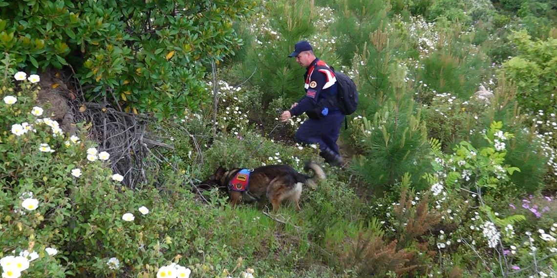 Korhan Berzeg'i arama çalışmaları 315 gündür sürdürülüyor