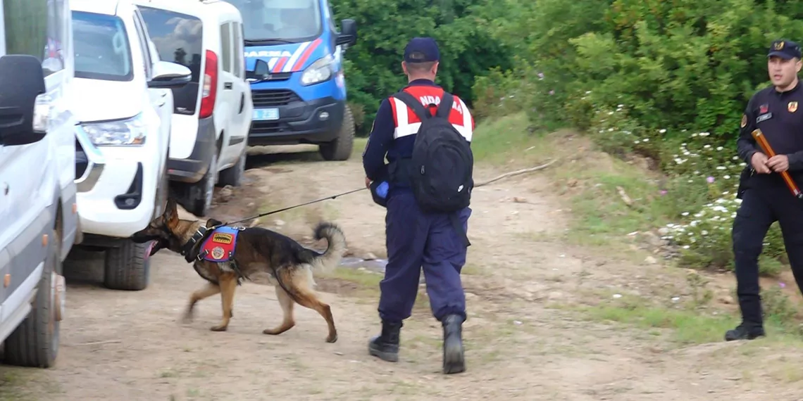 Balıkesir’in gönen ilçesinde tatil için geldiği yazlık evinden, 'tina' isimli köpeğiyle ayrıldıktan sonra haber alınamayan ve evinin 3,5 kilometre uzağındaki dere kenarında kimlik, ehliyet, banka, kredi kartları ve kıyafet parçaları ile kendisine ait olduğu düşünülen kemik parçaları bulunan korhan berzeg'i arama çalışmaları 315 günde sürüyor.