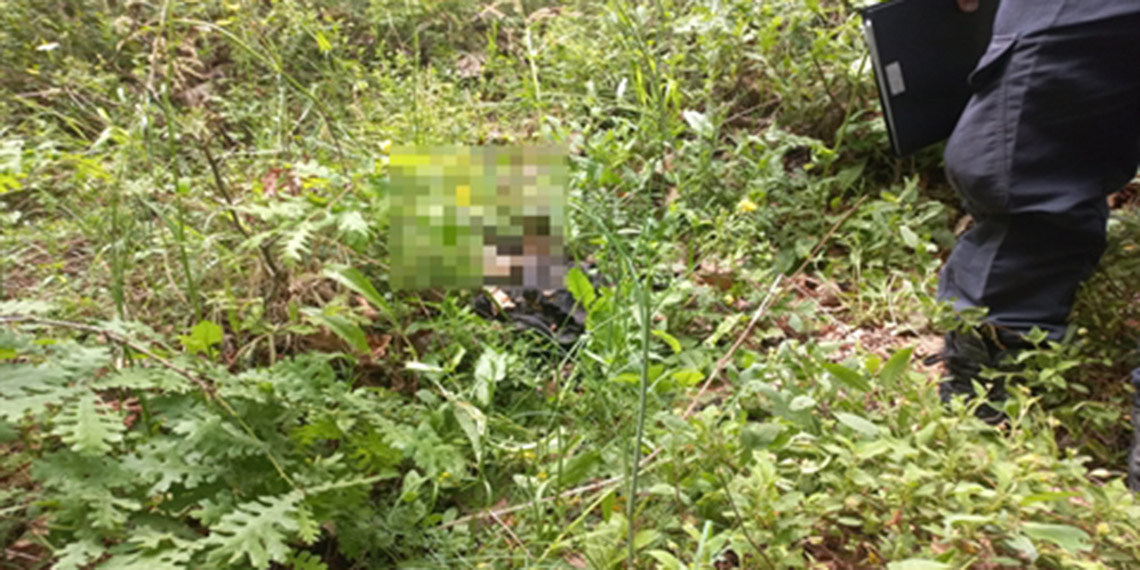 Korhan Berzeg'in kızından DNA örneği alınacak