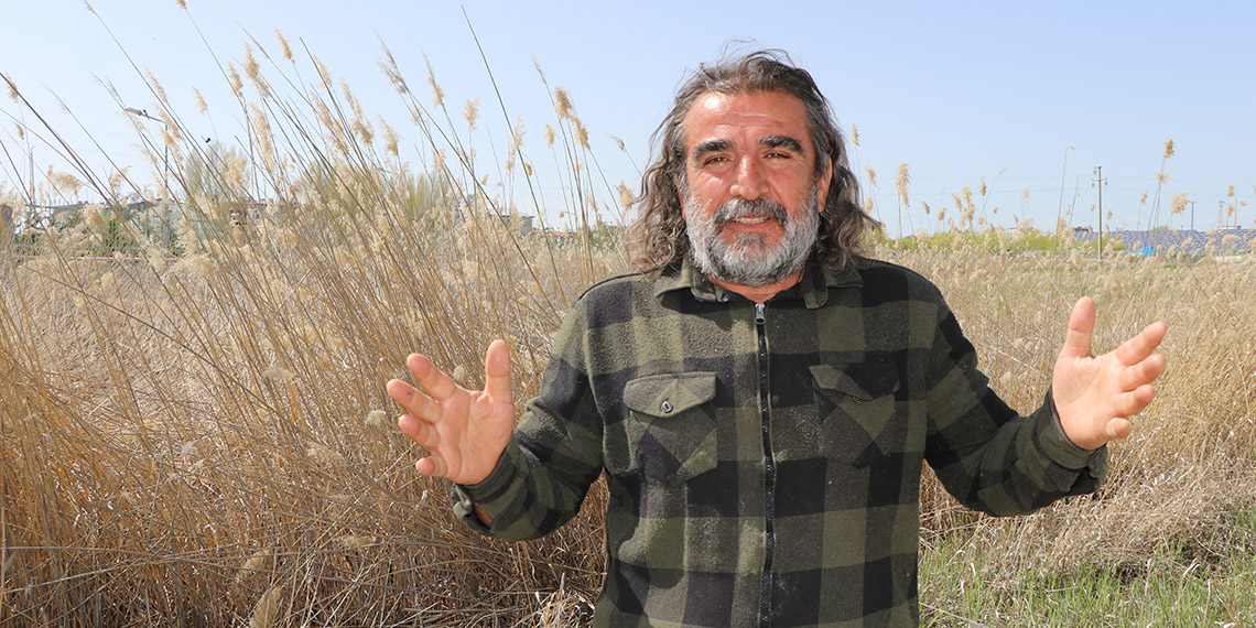 Koruma tedbirleri, dikkuyruk kuşlarının sayısını arttırdı