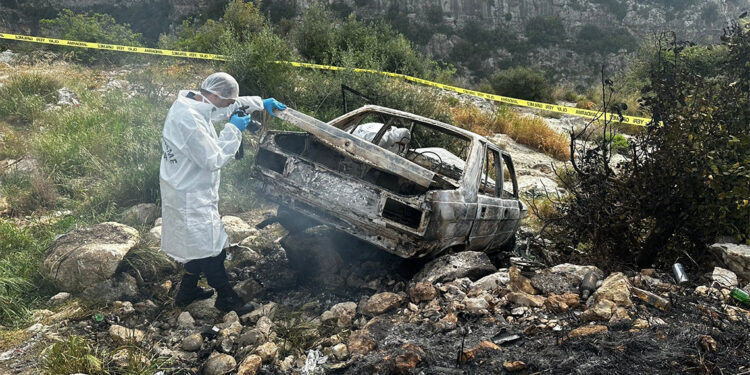 Mersin'deki vahşette yeni detaylar ortaya çıktı
