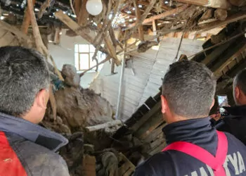 Malatya'da 2 katlı ahşap ev çöktü; 6 büyükbaş kurtarıldı