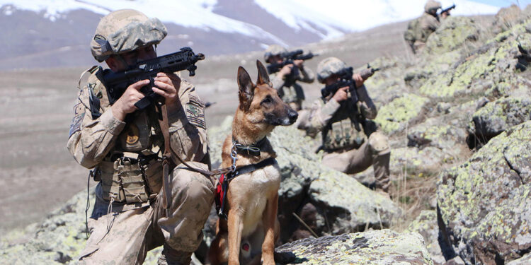 Mehmetçik'in dostu, teröristlerin korkulu rüyası 'Yıkı'