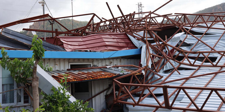 Muğla'da fırtına, sağanak ve hortum; ağaçlar s