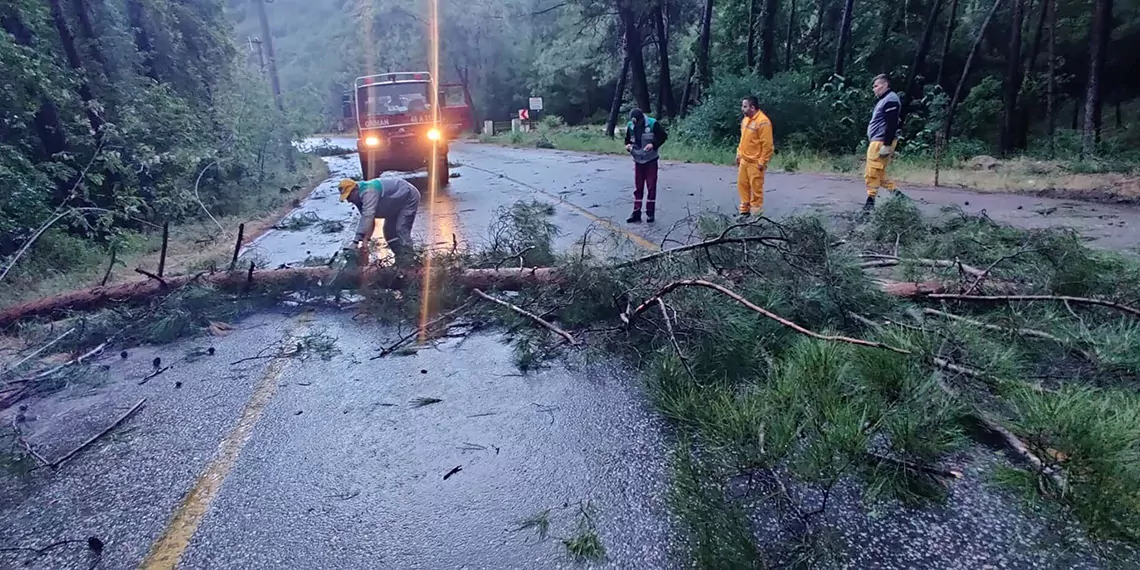 Muğla'da fırtına ve sağanak; ağaçlar devrildi, çatılar uçtu