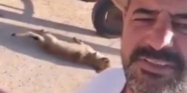 Öldürdüğü köpeği at arabası arkasına bağlayarak sürükleyen şahıs gözaltında