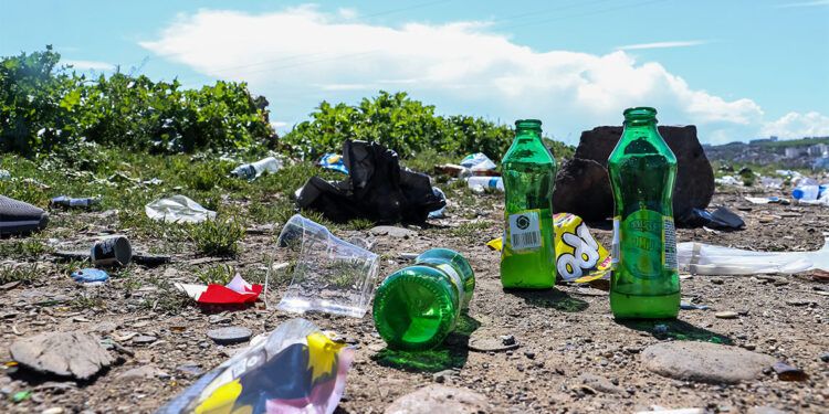 Dicle Nehri çevresi çöplüğe döndü