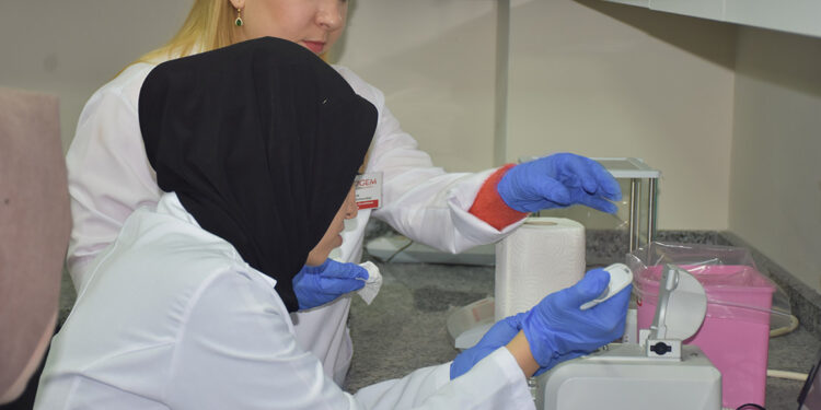 Patatesin parmak izi çıkartılarak genetik tabanı oluşturuluyor