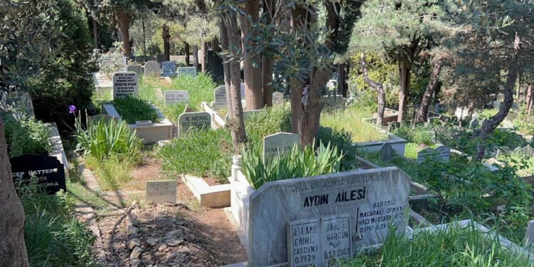 Pendik'te eski boksör arkadaşını döverek öldürdü