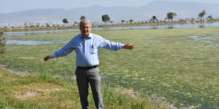 Prof. Dr. Yaşar’dan Çakalburnu Dalyanı için ‘bataklık’ uyarısı