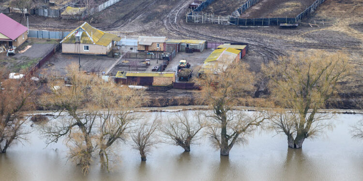 Rusya ve Kazakistan'daki sel felaketinde son durum